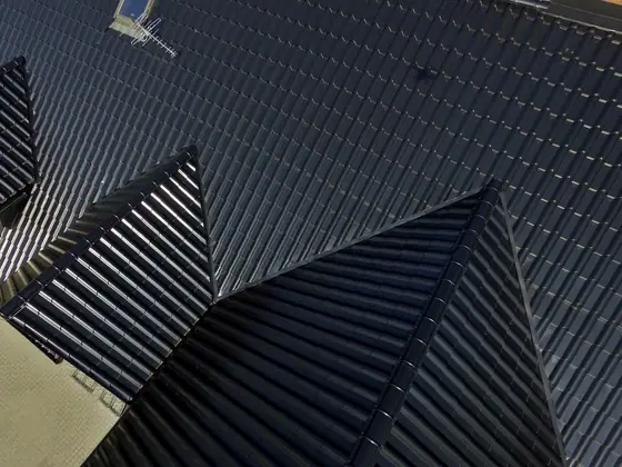 Referenzbild Metalldach Stehfalz Hausdach Ansicht 16